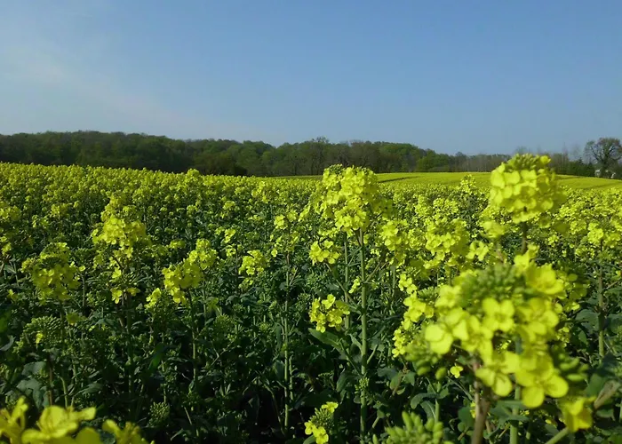 Appartement In Mit Grossem Balkon By Interhome